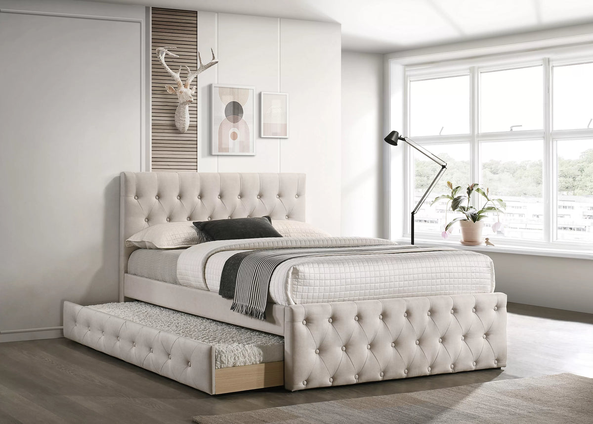 Twin/Full Size Bed With Trundle