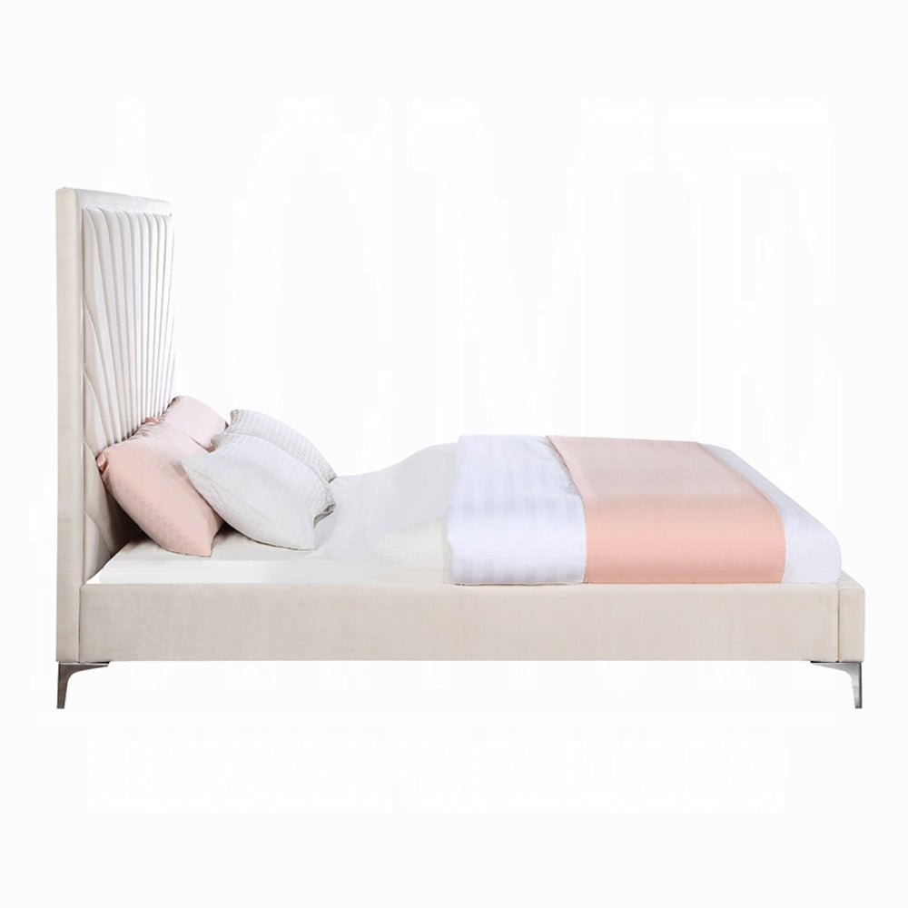 Faiz Queen/ E King Bed